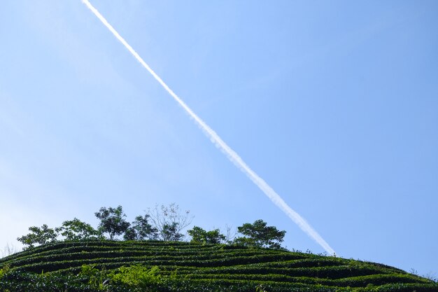 Campo con línea cruzando el cielo