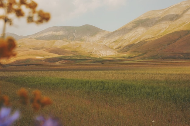 Foto gratuita campo marrón y verde cerca de la montaña