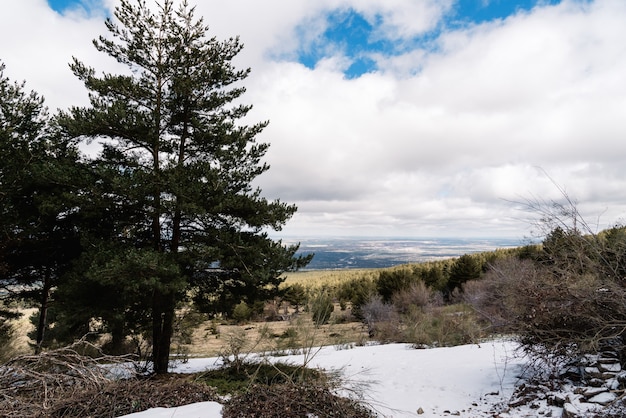 Foto gratuita campo de la naturaleza