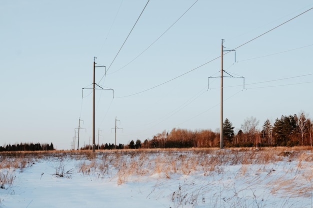 Campo nevado con árboles y líneas eléctricas en un día de invierno