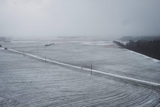 Campo nevado en el invierno