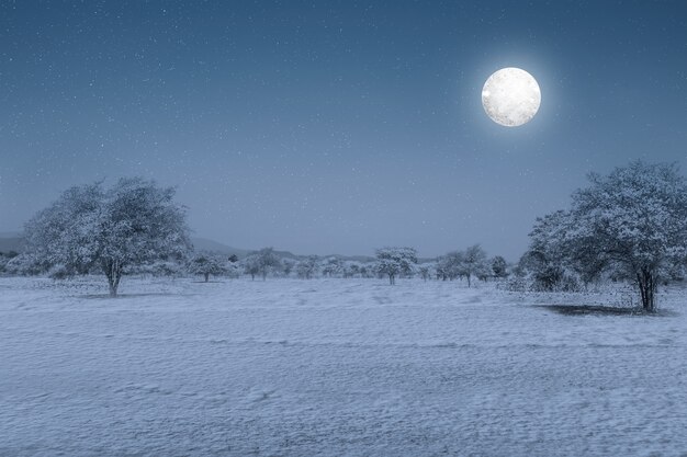 Campo de nieve con luna llena en la noche