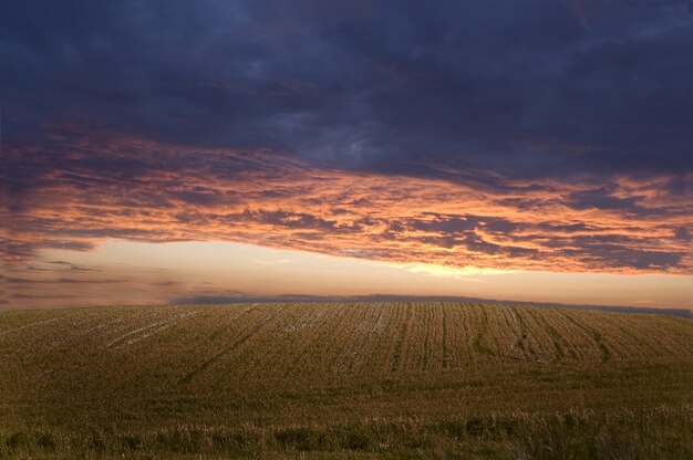 Campo por la noche