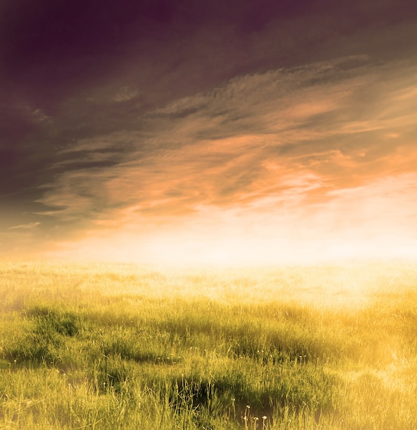 Foto gratuita campo con nubes oscuras