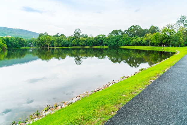 Foto gratuita campo paisaje hoja lago tropical