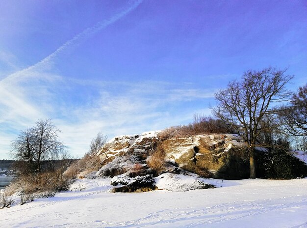 Campo rodeado de árboles y rocas cubiertas de nieve bajo un cielo azul en Larvik en Noruega