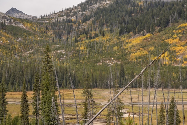 Campo vacío con una montaña cubierta de árboles de diferentes colores