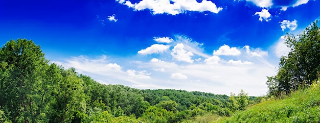 Campo de verano contra el cielo azul. Precioso paisaje. Bandera