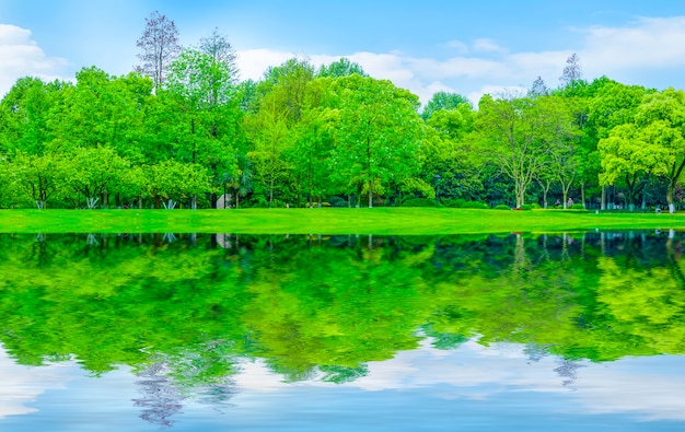 Campo verano forma parques productos naturales reflexión