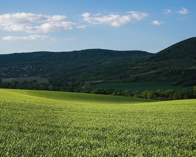 Campo verde con el cielo nublado de la mañana con colinas