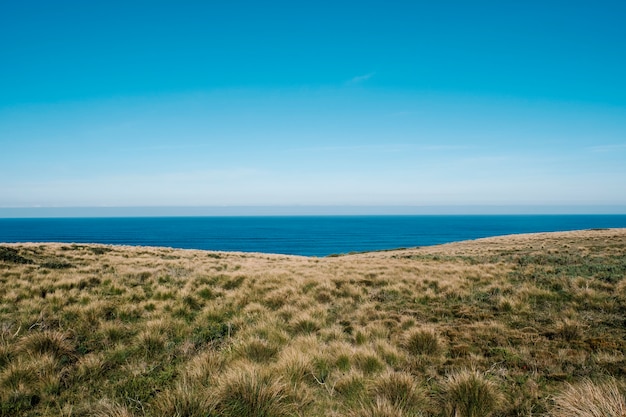 campo verde y mar