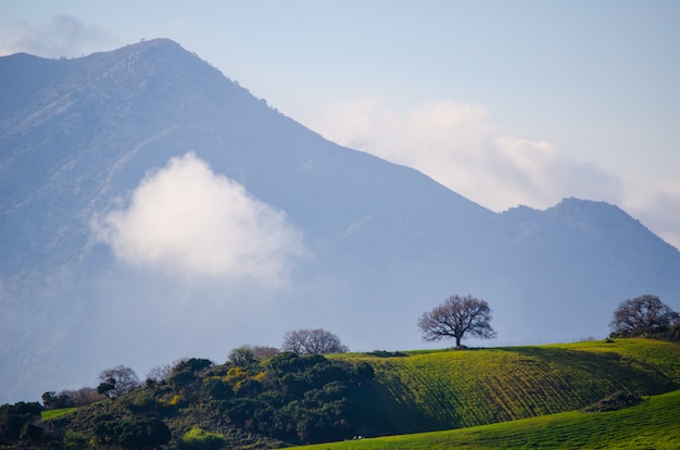 Campo verde rodeado por un paisaje montañoso bajo el cielo humeante