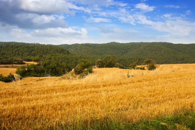 Campos en el valle de la montaña