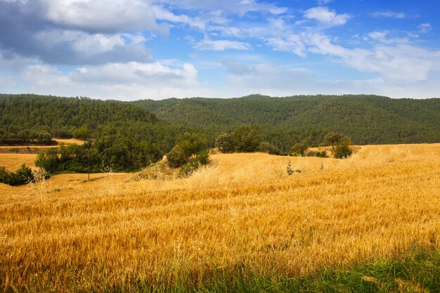 Campos en el valle de la montaña