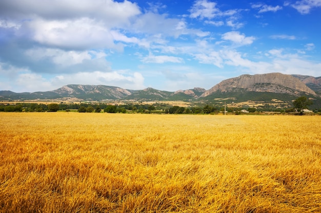 Campos en el valle de la montaña