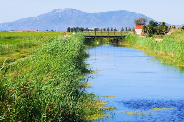 Canal de agua a través de los campos de arroz