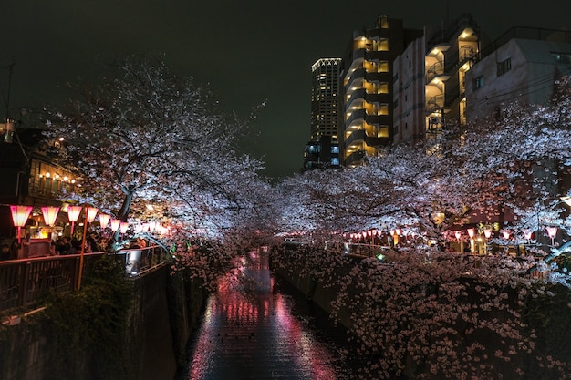 Canal decorado por hermosos árboles y rodeado de rascacielos