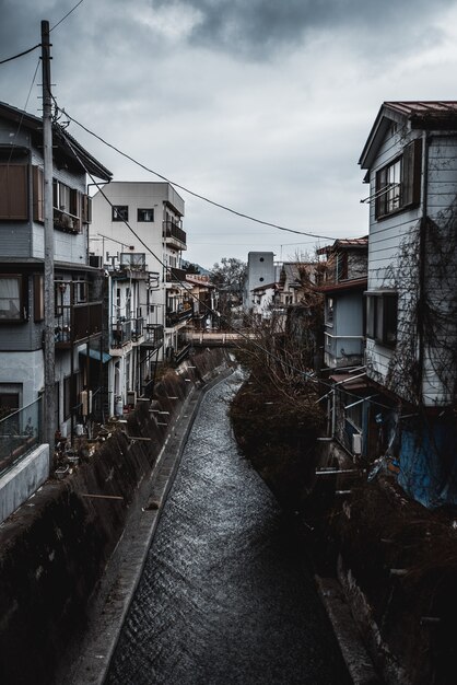 Canal en línea de casas y edificios.