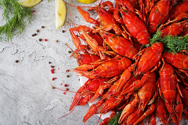 Cangrejo de río. El rojo hirvió los pescados del craw en la tabla en el estilo rústico, primer. Langosta de cerca. Diseño de la frontera