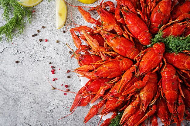 Cangrejo de río. El rojo hirvió los pescados del craw en la tabla en el estilo rústico, primer. Langosta de cerca. Diseño de la frontera