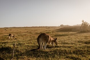 Paisajes de Australia