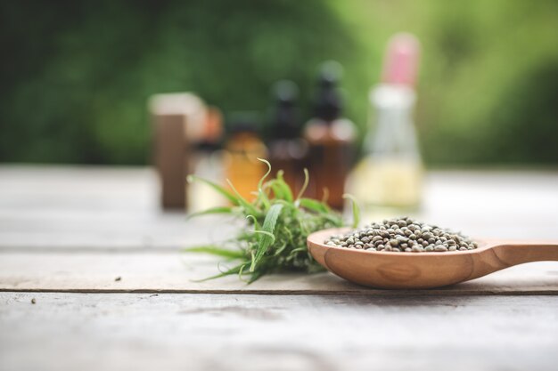 Cannabis, semillas de cannabis, aceite de cannabis Colocado en un piso de madera con un árbol verde en el fondo.