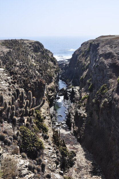 Cañón en la playa de Punta de Lobos en Pichilemu, Chile en un día soleado