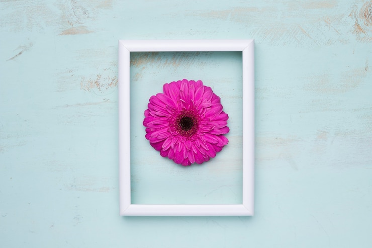 Foto gratuito una capa plana de marco con concepto floral