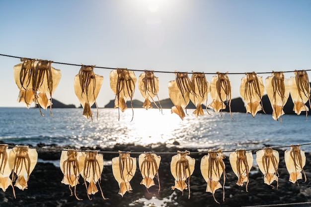 Foto gratuita captura de pantalla de calamares que se secan bajo un cielo soleado cerca de la costa