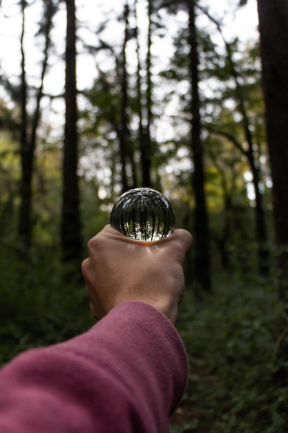 Captura de pantalla de una mano masculina sosteniendo una bola de cristal en un bosque