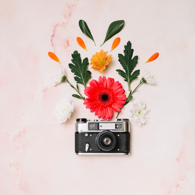 Foto gratuita capullos de flores con la cámara en la mesa