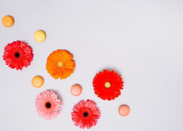 Capullos de flores con galletas en la mesa