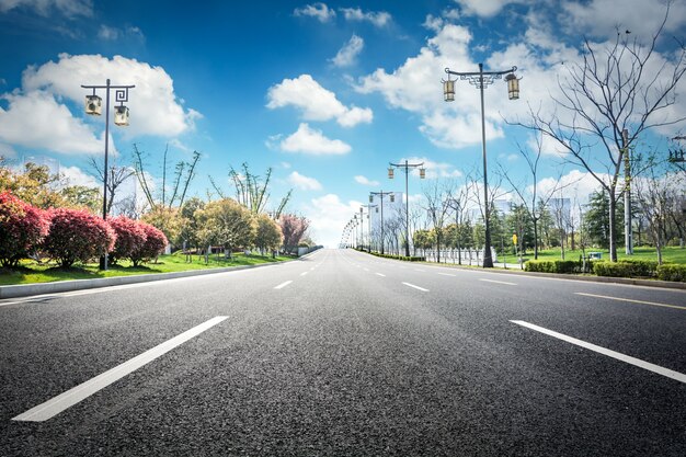 Carretera asfaltada y bosque