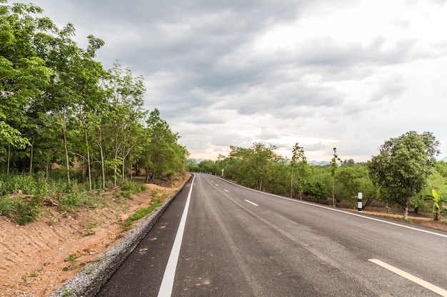 Carretera de asfalto en el bosque