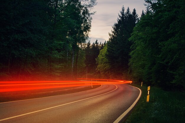 Carretera de asfalto gris entre árboles verdes durante el día con luces rojas de movimiento