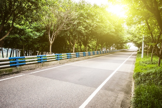 Foto gratuita carretera con bosque