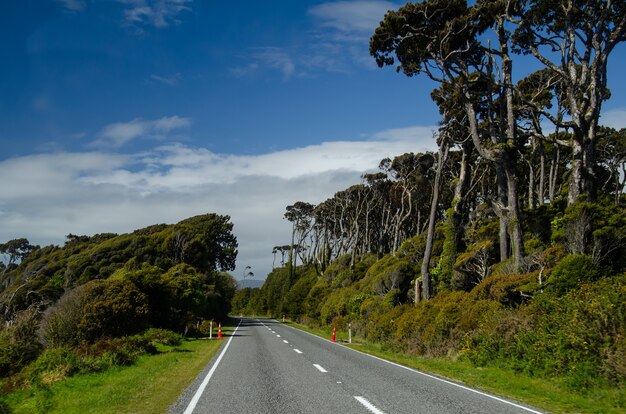 Carretera en la costa oeste, Isla Sur, Nueva Zelanda