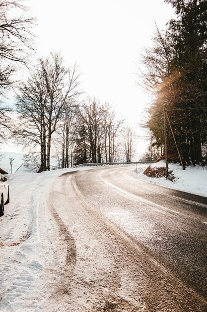 Carretera con curvas cubierta de tierra y nieve rodeada de árboles bajo la luz solar