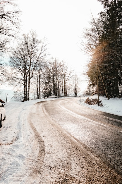 Carretera con curvas cubierta de tierra y nieve rodeada de árboles bajo la luz solar