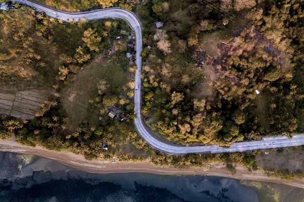 Carretera con curvas en medio de campos de hierba cubiertos de árboles cerca del mar