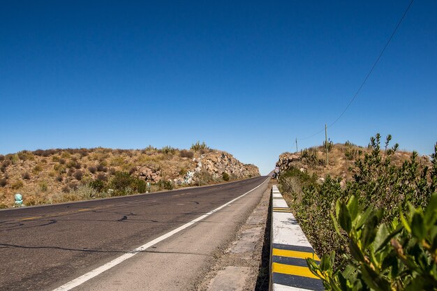 Una carretera del desierto rodeada de colinas con plantas exóticas.