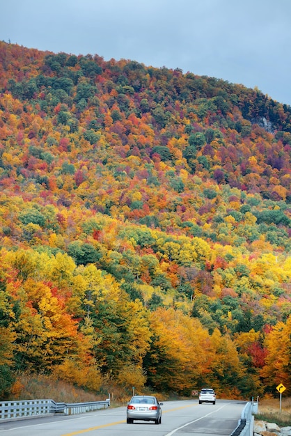 Foto gratuita carretera y follaje otoñal en white mountain, new hampshire.