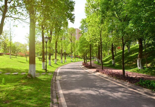 Carretera y naturaleza