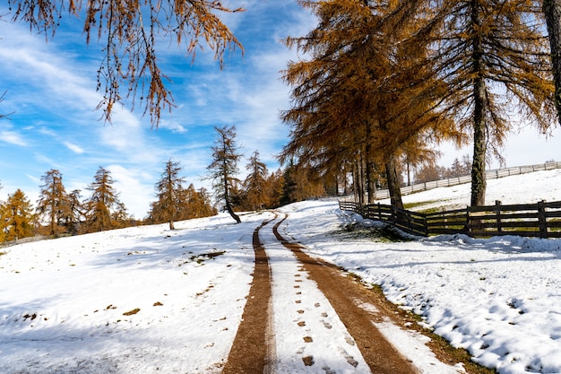 Carretera nevada en Tirol del Sur, Dolomitas, Italia