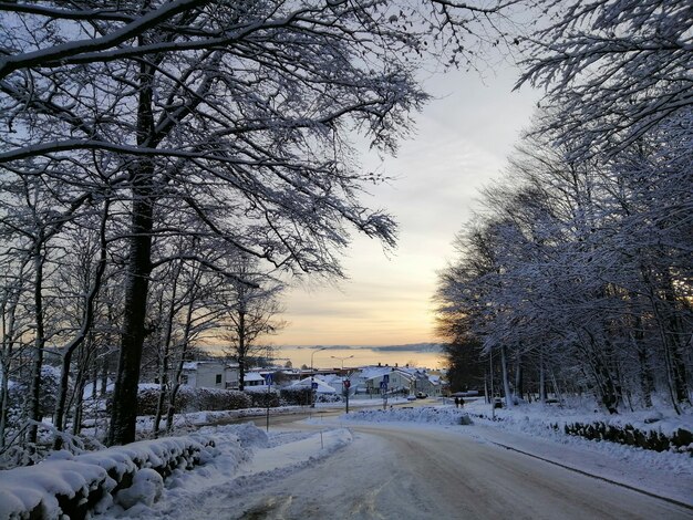 Carretera rodeada de árboles y edificios cubiertos de nieve durante la puesta de sol en Larvik en Noruega