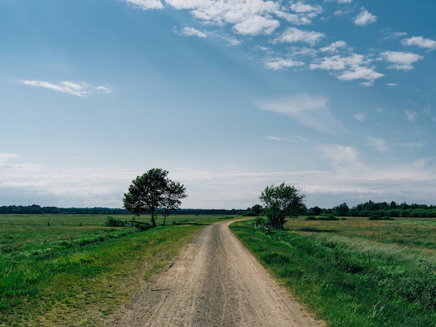 Foto gratuita carretera rodeada de campo cubierto de vegetación bajo un cielo azul en teufelsmoor