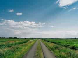 Foto gratuita carretera rodeada de campo cubierto de vegetación bajo un cielo azul en teufelsmoor