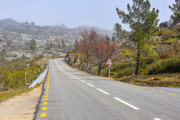 Carretera rodeada de rocas y vegetación cubierta por la niebla durante el día