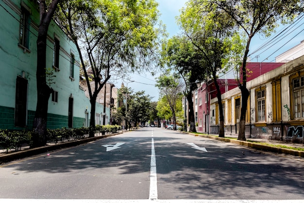 carretera suburbana en un día soleado