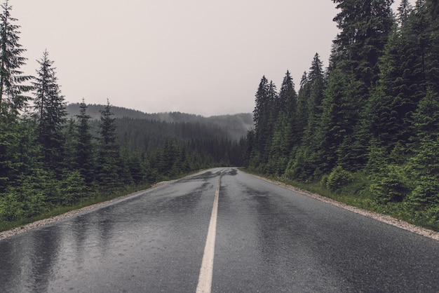 Carretera vacía en paisaje forestal